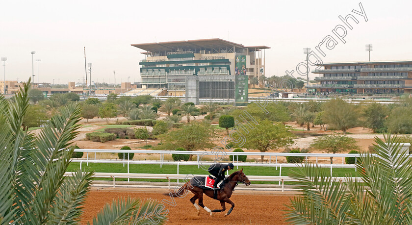 Breakup-0001 
 BREAKUP training for The Red Sea Turf Handicap
King Abdulaziz Racetrack, Saudi Arabia 22 Feb 2024 - Pic Steven Cargill / Racingfotos.com