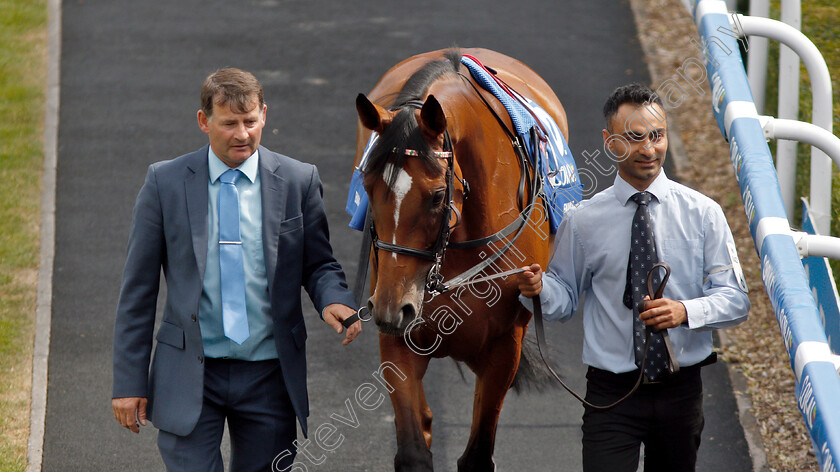 Enable-0001 
 ENABLE before winning The Coral Eclipse Stakes
Sandown 6 Jul 2019 - Pic Steven Cargill / Racingfotos.com