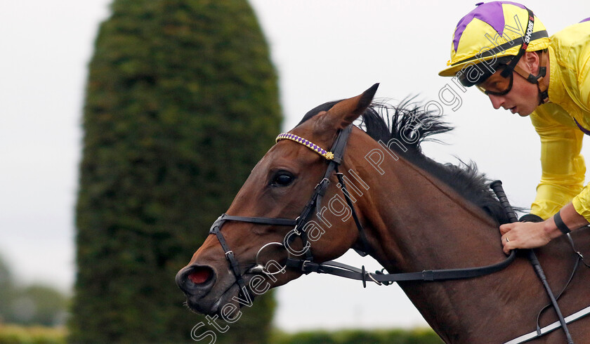 Sea-Just-In-Time-0001 
 SEA JUST IN TIME (Tom Marquand) wins The Unibet Fillies Novice Stakes
Kempton 7 Aug 2024 - Pic Steven Cargill / Racingfotos.com