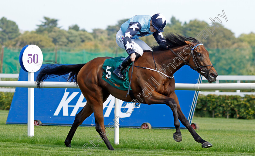 Kitty-Rose-0003 
 KITTY ROSE (Billy Lee) wins The Ballylinch Stud Irish EBF Ingabelle Stakes
Leopardstown 9 Sep 2023 - Pic Steven Cargill / Racingfotos.com