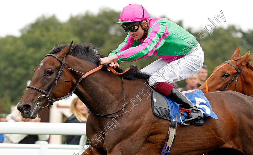 Good-American-0007 
 GOOD AMERICAN (Rob Hornby) wins The Bob McCreery Memorial British EBF Quidhampton Maiden Fillies Stakes
Salisbury 2 Sep 2021 - Pic Steven Cargill / Racingfotos.com