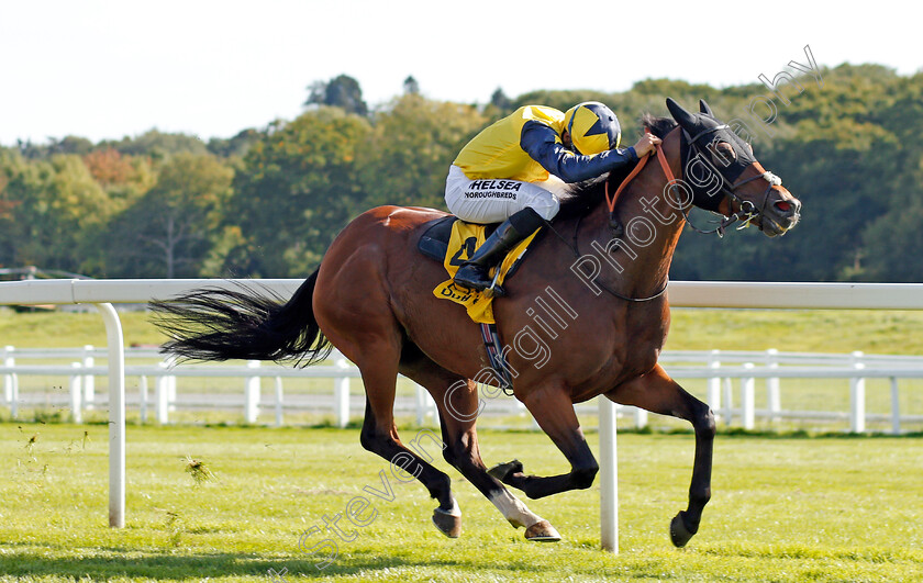 Desert-Encounter-0003 
 DESERT ENOCUNTER (Sean Levey) wins The Dubai Duty Free Legacy Cup Stakes Newbury 23 Sep 2017 - Pic Steven Cargill / Racingfotos.com