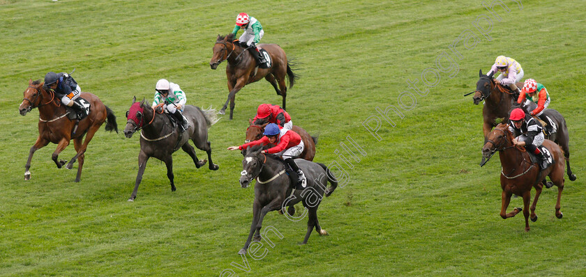 Procedure-0001 
 PROCEDURE (Richard Kingscote) wins The Chelsea Thoroughbreds October Club Charity Fillies Handicap
Ascot 27 Jul 2018 - Pic Steven Cargill / Racingfotos.com