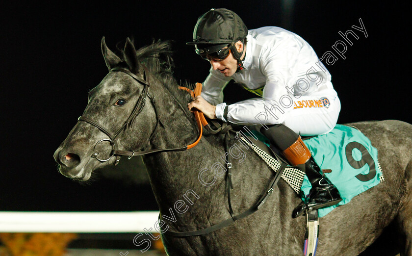 Lush-Life-0006 
 LUSH LIFE (Dougie Costello) wins The British Stallion Studs EBF Fillies Novice Stakes Kempton 8 Nov 2017 - Pic Steven Cargill / Racingfotos.com