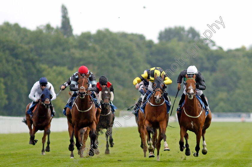 Haliphon-0002 
 HALIPHON (right, Royston Ffrench) beats MONSIEUR LAMBRAYS (2nd right, Oisin Orr) in The Andy Thornton Hospitality Furniture Handicap
York 10 Jun 2022 - Pic Steven Cargill / Racingfotos.com