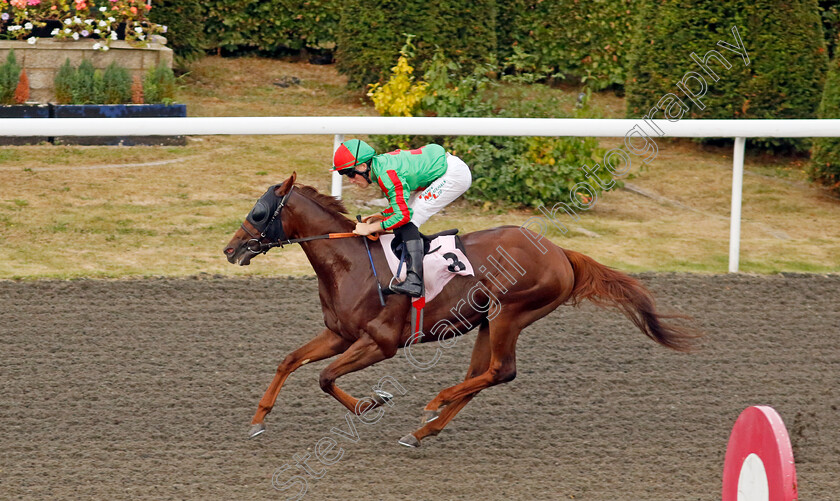 Irrelevant-0002 
 IRRELEVANT (Finley Marsh) wins The Skyline Roofing Centre's Nursery
Kempton 8 Sep 2023 - Pic Steven Cargill / Racingfotos.com