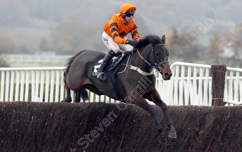 West-Approach-0002 
 WEST APPROACH (Robbie Power) wins The BetVictor Smartcards Handicap Chase
Cheltenham 16 Nov 2019 - Pic Steven Cargill / Racingfotos.com