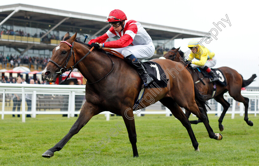 Fortune-And-Glory-0003 
 FORTUNE AND GLORY (Scott McCullagh) wins The Racing TV Handicap
Newbury 19 Jul 2019 - Pic Steven Cargill / Racingfotos.com