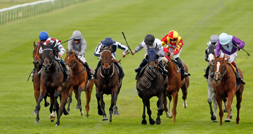 Kinta-0002 
 KINTA (left, William Buick) beats SWEET HARMONY (2nd right) AL SIMMO (2nd left) and FRANKNESS (right) in The British EBF 40th Anniversary Premier Fillies Handicap
Newmarket 28 Sep 2023 - Pic Steven Cargill / Racingfotos.com