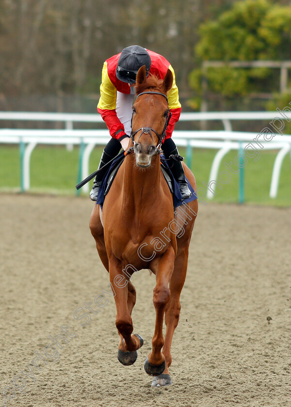 Rakematiz-0001 
 RAKEMATIZ (Callum Shepherd)
Lingfield 23 Mar 2019 - Pic Steven Cargill / Racingfotos.com