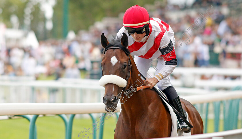 Merkur-0002 
 MERKUR (A Madamet)
Deauville 13 Aug 2023 - Pic Steven Cargill / Racingfotos.com