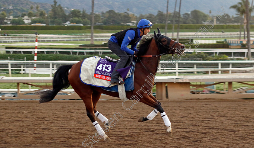 With-The-Moonlight-0001 
 WITH THE MOONLIGHT training for The Breeders' Cup Filly & Mare Turf
Santa Anita USA, 31 October 2023 - Pic Steven Cargill / Racingfotos.com