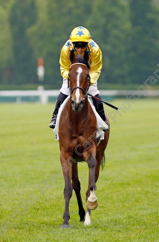 Nice-Dream-0001 
 NICE DREAM (Mickael Barzalona)
Longchamp 12 May 2024 - Pic Steven Cargill / Racingfotos.com