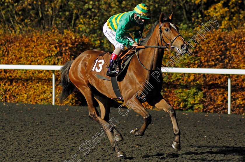 Positano-0002 
 POSITANO (Andrea Atzeni)
Kempton 11 Nov 2020 - Pic Steven Cargill / Racingfotos.com