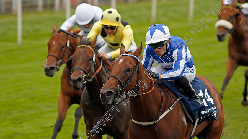 Winter-Power-0006 
 WINTER POWER (Silvestre de Sousa) wins The Coolmore Nunthorpe Stakes
York 20 Aug 2021 - Pic Steven Cargill / Racingfotos.com