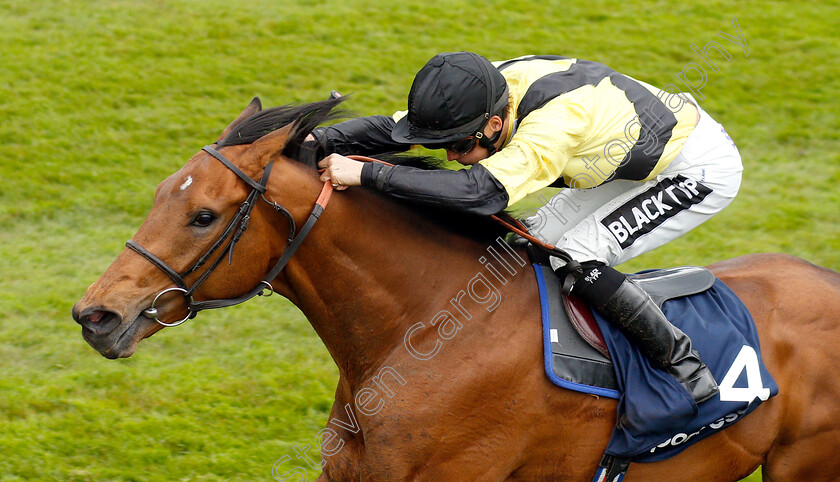 Future-Investment-0006 
 FUTURE INVESTMENT (Harry Bentley) wins The Sportpesa Maiden Stakes
Chester 8 May 2019 - Pic Steven Cargill / Racingfotos.com