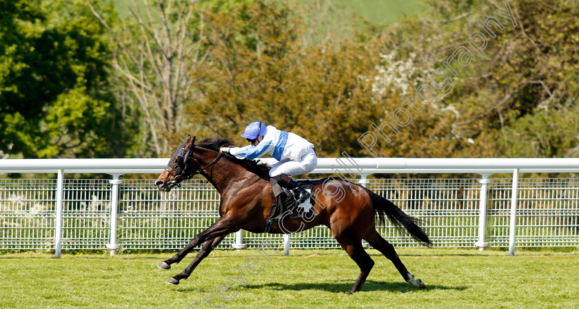 Ropey-Guest-0002 
 ROPEY GUEST (Tom Queally) wins The William Hill Extra Place Races Daily Handicap
Goodwood 26 May 2023 - Pic Steven Cargill / Racingfotos.com