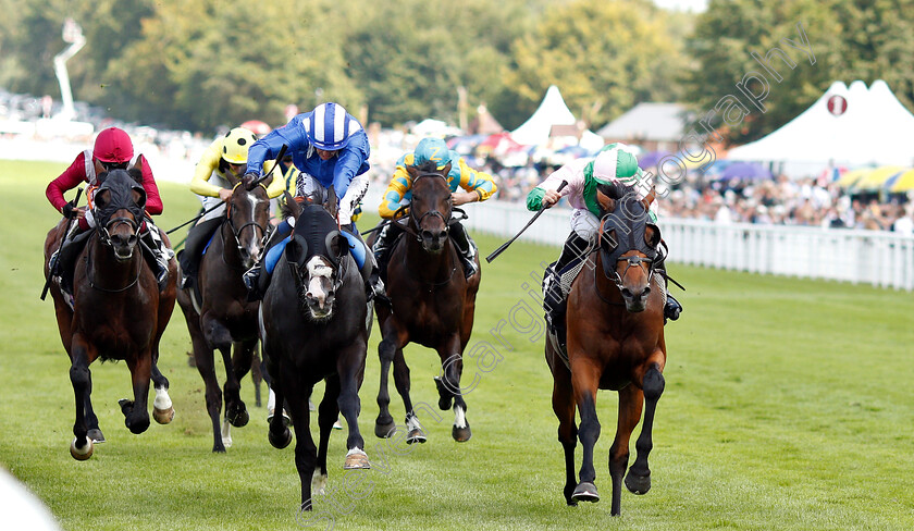 Duke-Of-Hazzard-0001 
 DUKE OF HAZZARD (right, P J McDonald) beats TURJOMAAN (left) in The Bonhams Thoroughbred Stakes
Goodwood 2 Aug 2019 - Pic Steven Cargill / Racingfotos.com