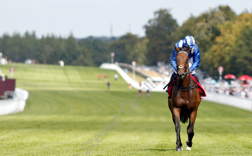 Battaash-0011 
 BATTAASH (Jim Crowley) after The King George Qatar Stakes
Goodwood 2 Aug 2019 - Pic Steven Cargill / Racingfotos.com