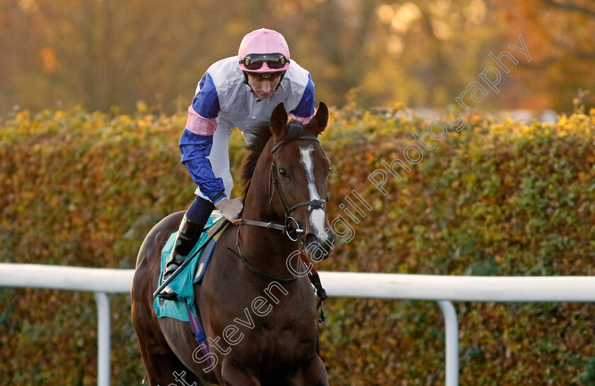 Not-Afraid-0001 
 NOT AFRAID (Hector Crouch)
Kempton 15 Nov 2023 - Pic Steven Cargill / Racingfotos.com