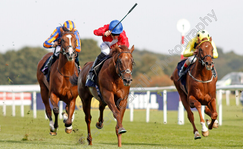 Threat-0003 
 THREAT (centre, Pat Dobbs) beats JUAN ELCANO (right) in The Pommery Champagne Stakes
Doncaster 14 Sep 2019 - Pic Steven Cargill / Racingfotos.com