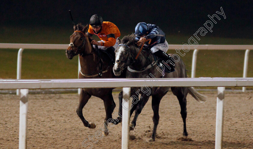 Cinzento-0001 
 CINZENTO (right, Jack Mitchell) beats COOL TO BE A CAT (left) in The tote.co.uk Now Never Beaten By SP Classified Stakes
Chelmsford 14 Jan 2021 - Pic Steven Cargill / Racingfotos.com