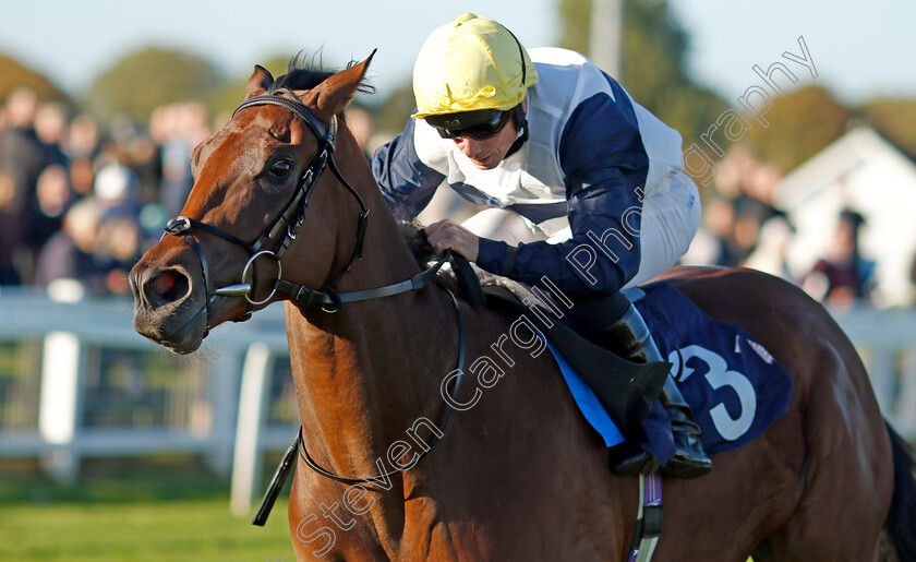 At-Liberty-0001 
 AT LIBERTY (Ryan Moore) wins The Cazoo Search Drive Smile Handicap
Yarmouth 18 Oct 2022 - Pic Steven Cargill / Racingfotos.com