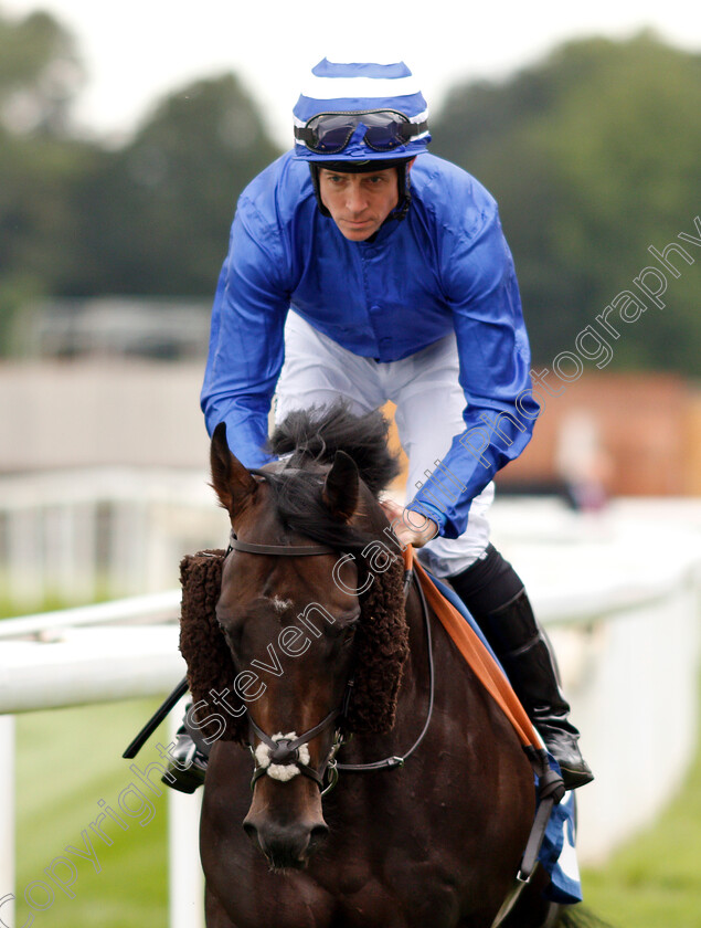 Koditime-0001 
 KODITIME (Jim Crowley)
York 22 Aug 2018 - Pic Steven Cargill / Racingfotos.com