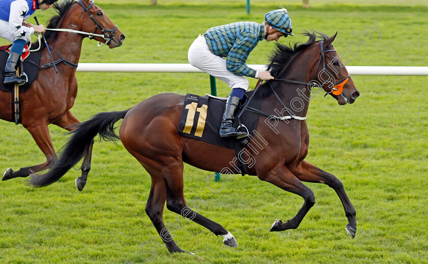 Special-Times-0001 
 SPECIAL TIMES (Hector Crouch)
Newmarket 30 Oct 2021 - Pic Steven Cargill / Racingfotos.com