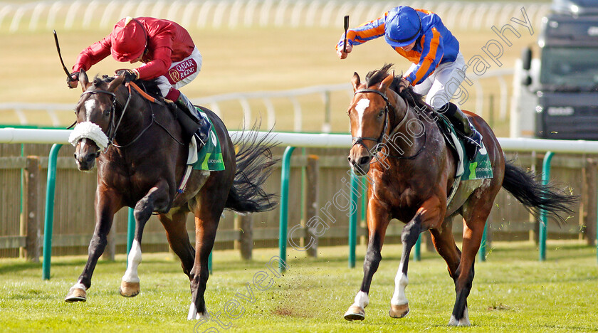 Royal-Dornoch-0001 
 ROYAL DORNOCH (right, Wayne Lordan) beats KAMEKO (left) in The Juddmonte Royal Lodge Stakes
Newmarket 28 Sep 2019 - Pic Steven Cargill / Racingfotos.com