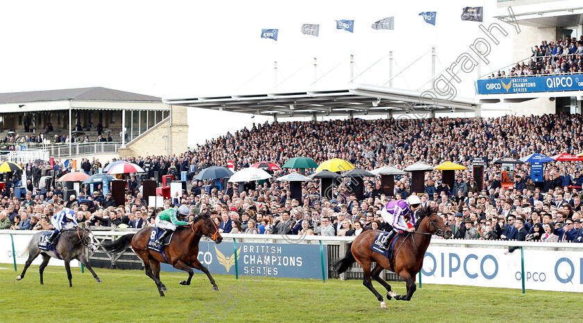 Magna-Grecia-0003 
 MAGNA GRECIA (Donnacha O'Brien) beats KING OF CHANGE (left) in The Qipco 2000 Guineas
Newmarket 4 May 2019 - Pic Steven Cargill / Racingfotos.com