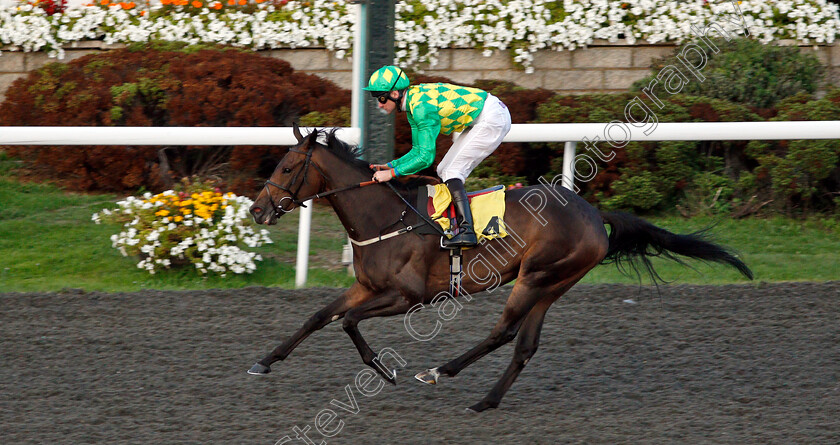 Jedhi-0006 
 JEDHI (Robert Havlin) wins The 100% Profit Boost At 32RedSport.com Fillies Handicap
Kempton 29 Aug 2018 - Pic Steven Cargill / Racingfotos.com