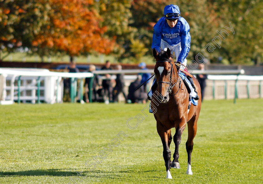 Midnight-Thunder-0001 
 MIDNIGHT THUNDER (Oisin Murphy)
Newmarket 11 Oct 2024 - Pic Steven Cargill / Racingfotos.com