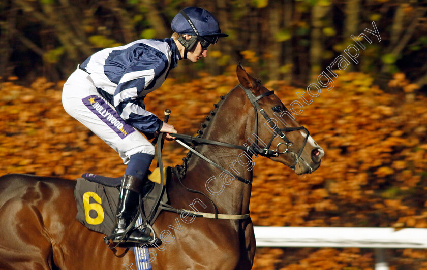 Princess-Alice-0001 
 PRINCESS ALICE (Daniel Muscutt)
Kempton 6 Dec 2023 - Pic Steven Cargill / Racingfotos.com