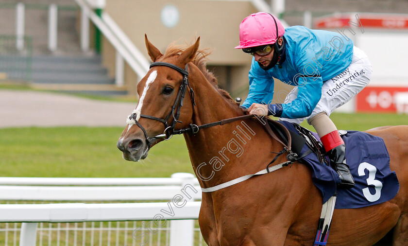 Many-A-Star-0006 
 MANY A STAR (Andrea Atzeni) wins The Seadeer Handicap
Yarmouth 16 Sep 2020 - Pic Steven Cargill / Racingfotos.com