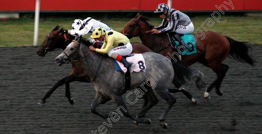 Dubrava-0004 
 DUBRAVA (nearside, Andrea Atzeni) beats INDIAN VICEROY (farside) in The Matchbook 2% Net Win Handicap
Kempton 7 Aug 2019 - Pic Steven Cargill / Racingfotos.com