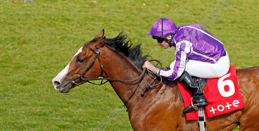 Point-Lonsdale-0001 
 POINT LONSDALE (Ryan Moore) wins The tote.co.uk Supporting Racing Ormonde Stakes
Chester 9 May 2024 - Pic Steven Cargill / Racingfotos.com