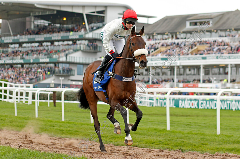 Chianti-Classico-0002 
 CHIANTI CLASSICO (David Bass)
Aintree 12 Apr 2024 - Pic Steven Cargill / Racingfotos.com