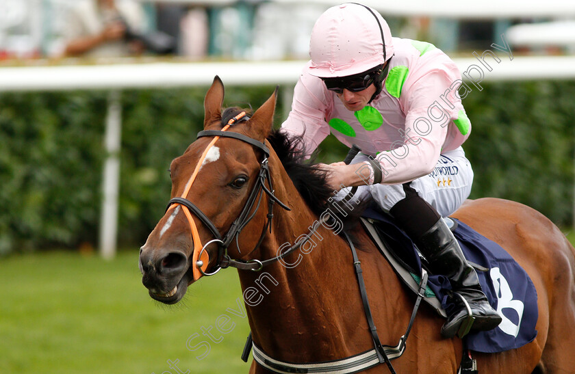 Thomas-Hobson-0006 
 THOMAS HOBSON (Ryan Moore) wins The Doncaster Cup Stakes
Doncaster 14 Sep 2018 - Pic Steven Cargill / Racingfotos.com