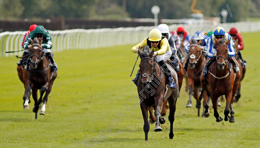 Myseven-0002 
 MYSEVEN (Pat Cosgrave) wins The Betway Novice Stakes
Lingfield 2 Sep 2020 - Pic Steven Cargill / Racingfotos.com