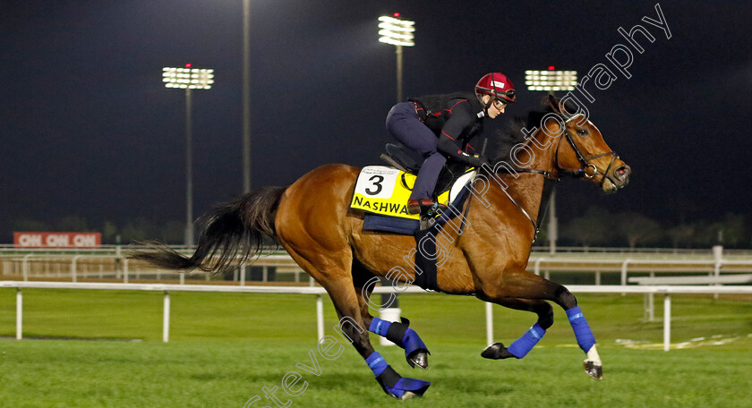 Nashwa-0002 
 NASHWA (Hollie Doyle) training for The Dubai Turf
Meydan Dubai 28 Mar 2024 - Pic Steven Cargill / Racingfotos.com