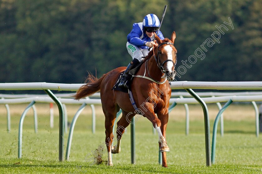 Qitaal-0004 
 QITAAL (Jason Hart) wins the British Stallion Studs EBF Maiden Stakes Div1
Nottingham 13 Oct 2021 - Pic Steven Cargill / Racingfotos.com