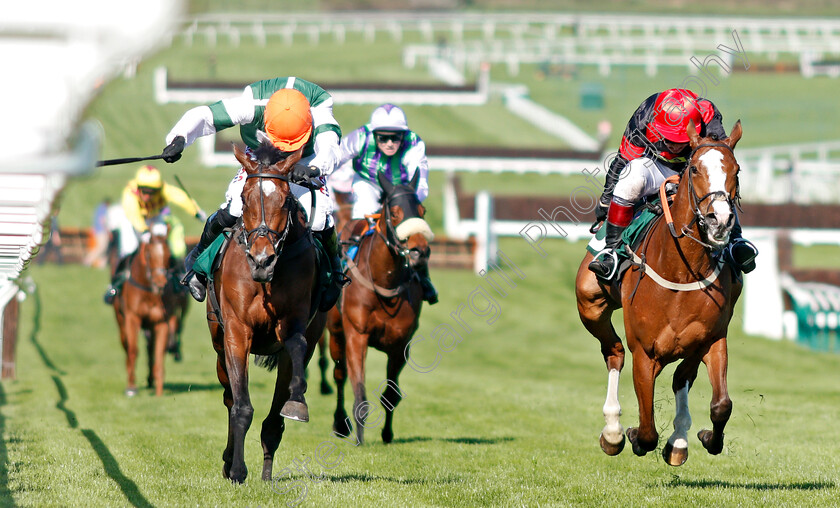 Stylish-Dancer-0002 
 STYLISH DANCER (left, Harry Skelton) beats CUBSWIN (right) in The Arkells Brewery Fillies Juvenile Handicap Hurdle Cheltenham 19 Apr 2018 - Pic Steven Cargill / Racingfotos.com