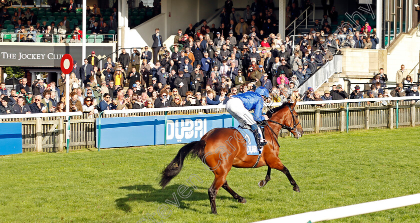 Arabian-Crown-0003 
 ARABIAN CROWN (William Buick) wins The Zetland Stakes
Newmarket 14 Oct 2023 - Pic Steven Cargill / Racingfotos.com