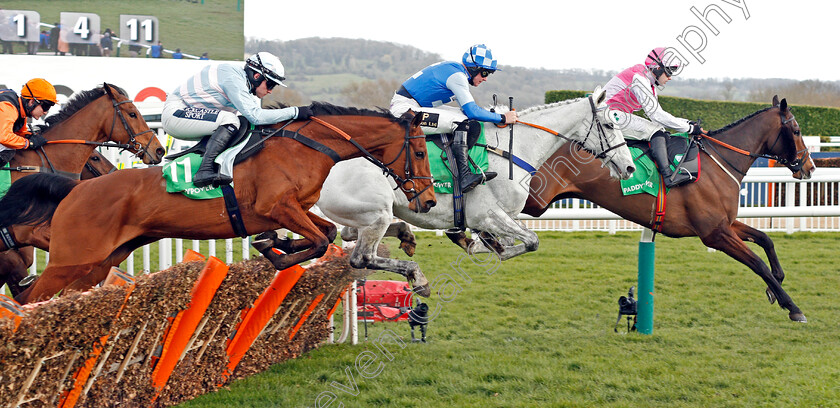 Ask-Dillon-0001 
 ASK DILLON (right, Paddy Brennan) leads DONNA'S DIAMOND (centre, Thomas Dowson) and SUMMERVILLE BOY (left)
Cheltenham 12 Mar 2020 - Pic Steven Cargill / Racingfotos.com