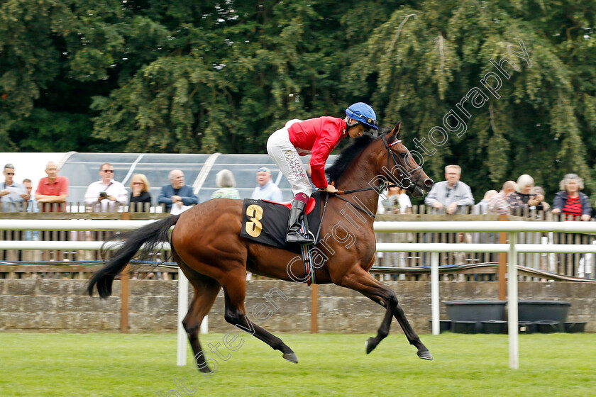 Indispensable-0001 
 INDISPENSABLE (Cieren Fallon)
Newmarket 1 Jul 2023 - Pic Steven Cargill / Racingfotos.com