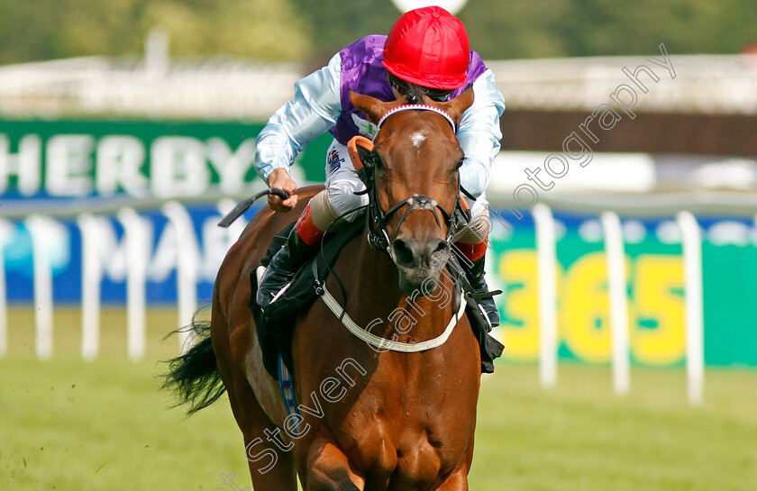 Pure-Shores-0001 
 PURE SHORES (Andrea Atzeni)
Newbury 20 Jul 2019 - Pic Steven Cargill / Racingfotos.com