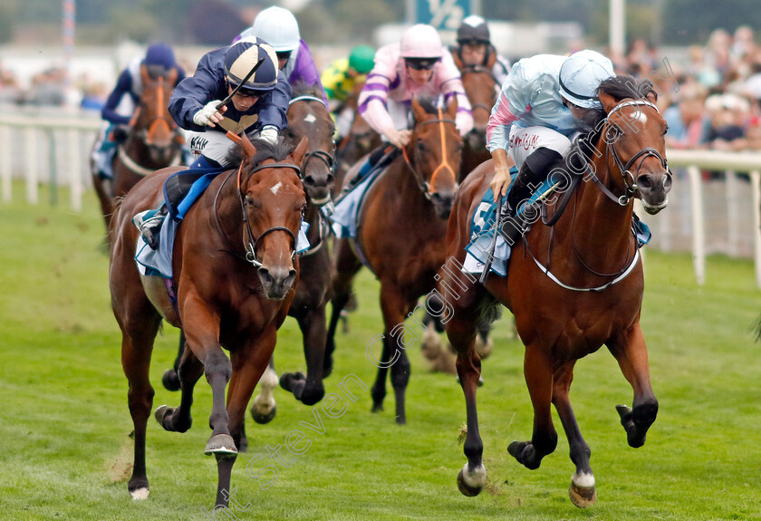 Kyeema-0001 
 KYEEMA (right, Tom Marquand) beats INDIAN DREAM (left) in The OR8Wellness EBF Stallions Nursery
York 18 Aug 2022 - Pic Steven Cargill / Racingfotos.com