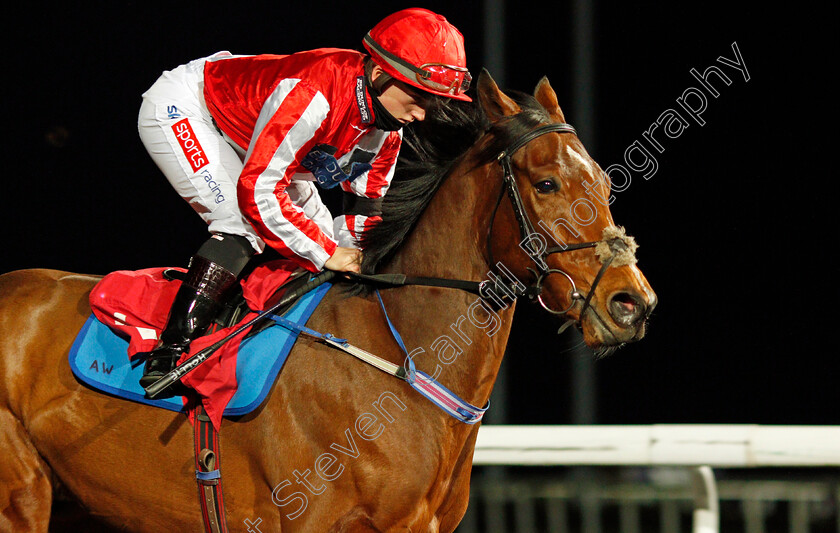 Toro-Dorado-0001 
 TORO DORADO (Hollie Doyle)
Kempton 3 Feb 2021 - Pic Steven Cargill / Racingfotos.com