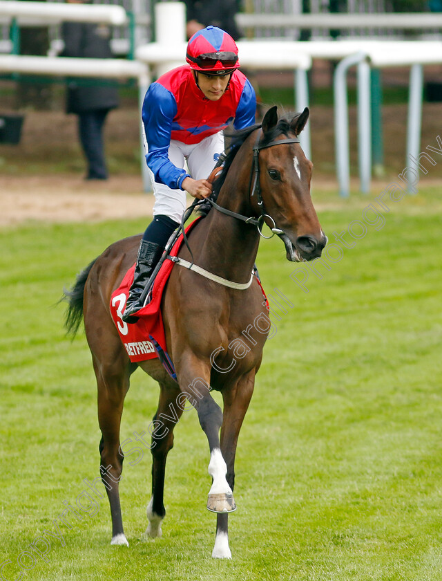 Nellie-Leylax-0006 
 NELLIE LEYLAX (Pierre-Louis Jamin) winner of the Betfred Silver Bowl Handicap
Haydock 25 May 2024 - Pic Steven Cargill / Racingfotos.com